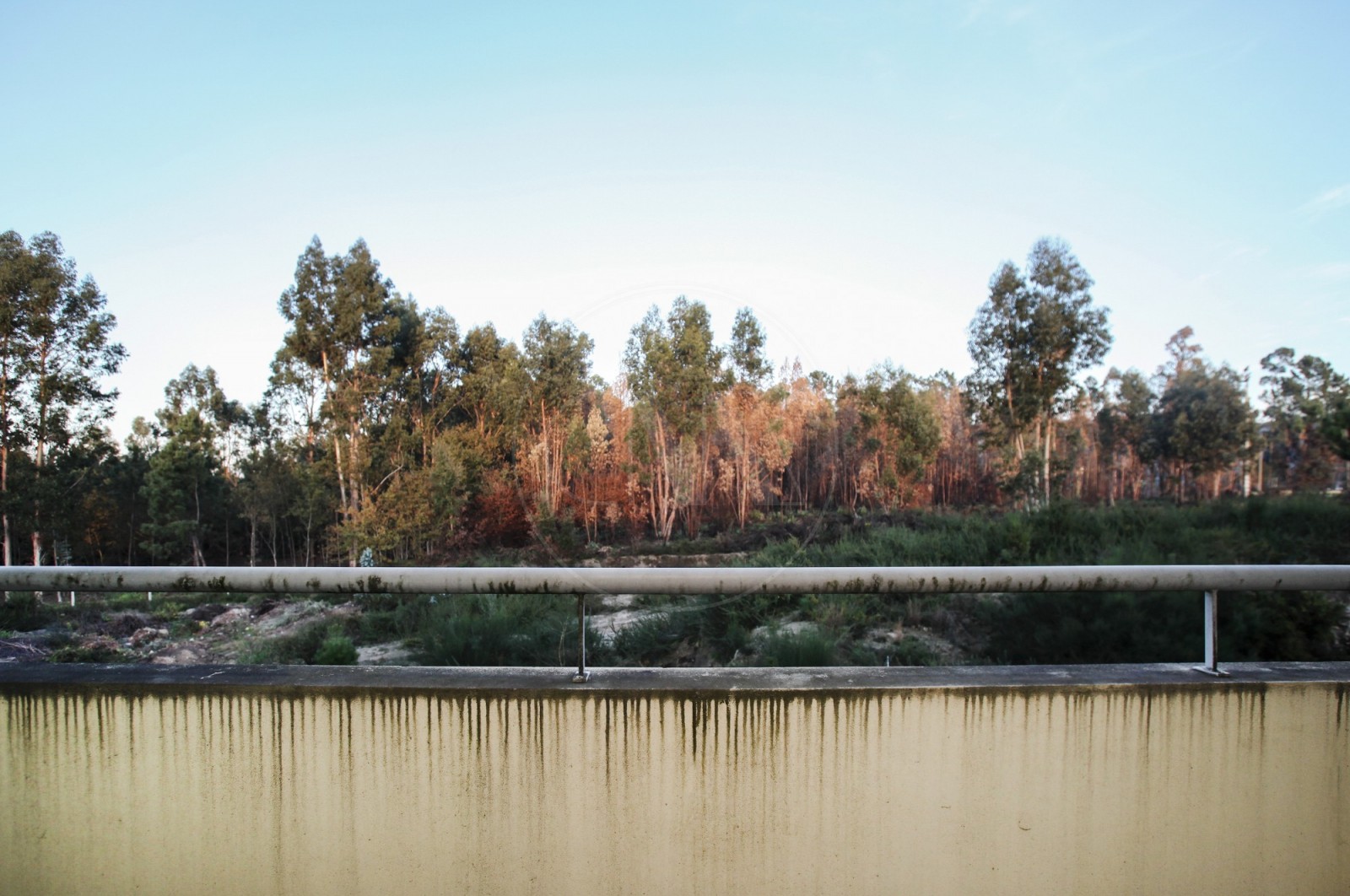 Apartamento T2 para Venda em Várzea, Barcelos, Braga - Imagem 19