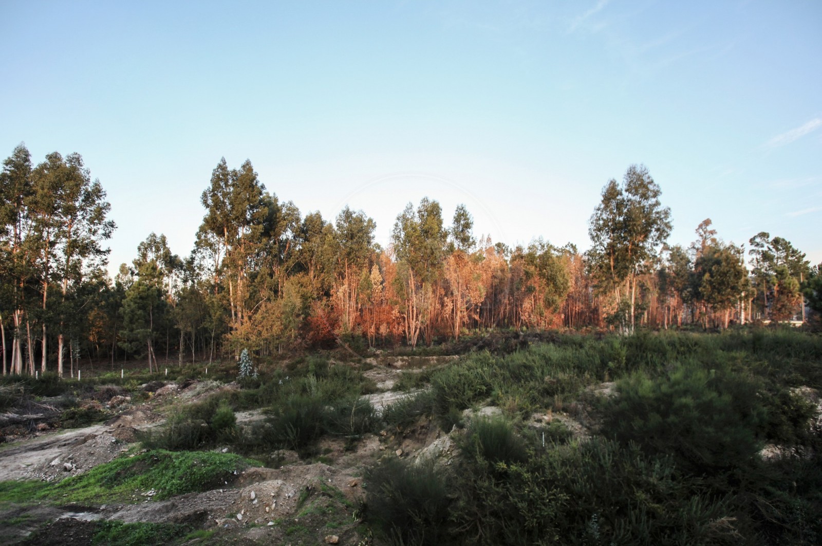 Apartamento T2 para Venda em Várzea, Barcelos, Braga - Imagem 23