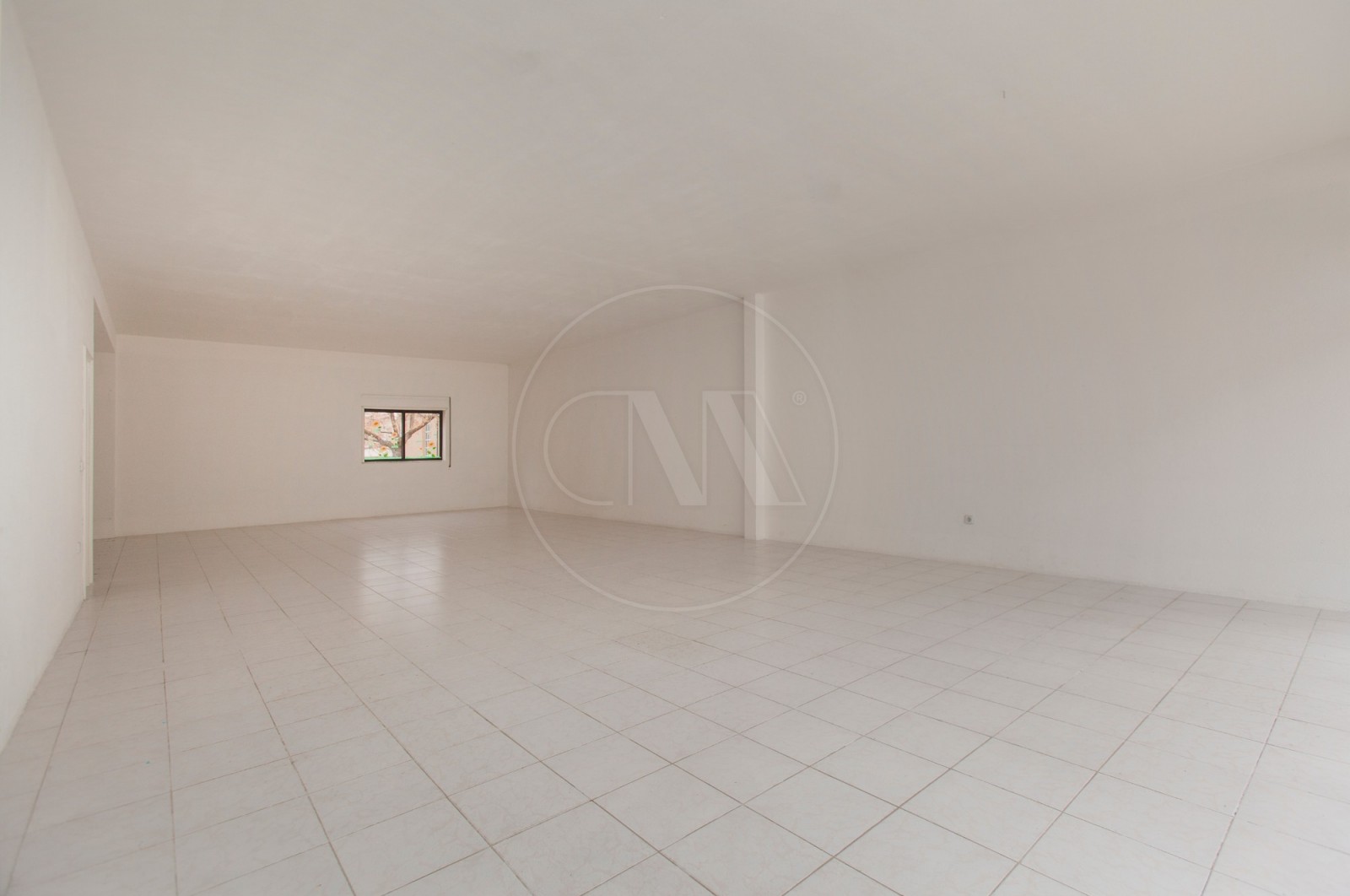 Loja para Venda em Braga (São Vítor), Braga, Braga - Arrecadação/Anexo (Imagem 4)