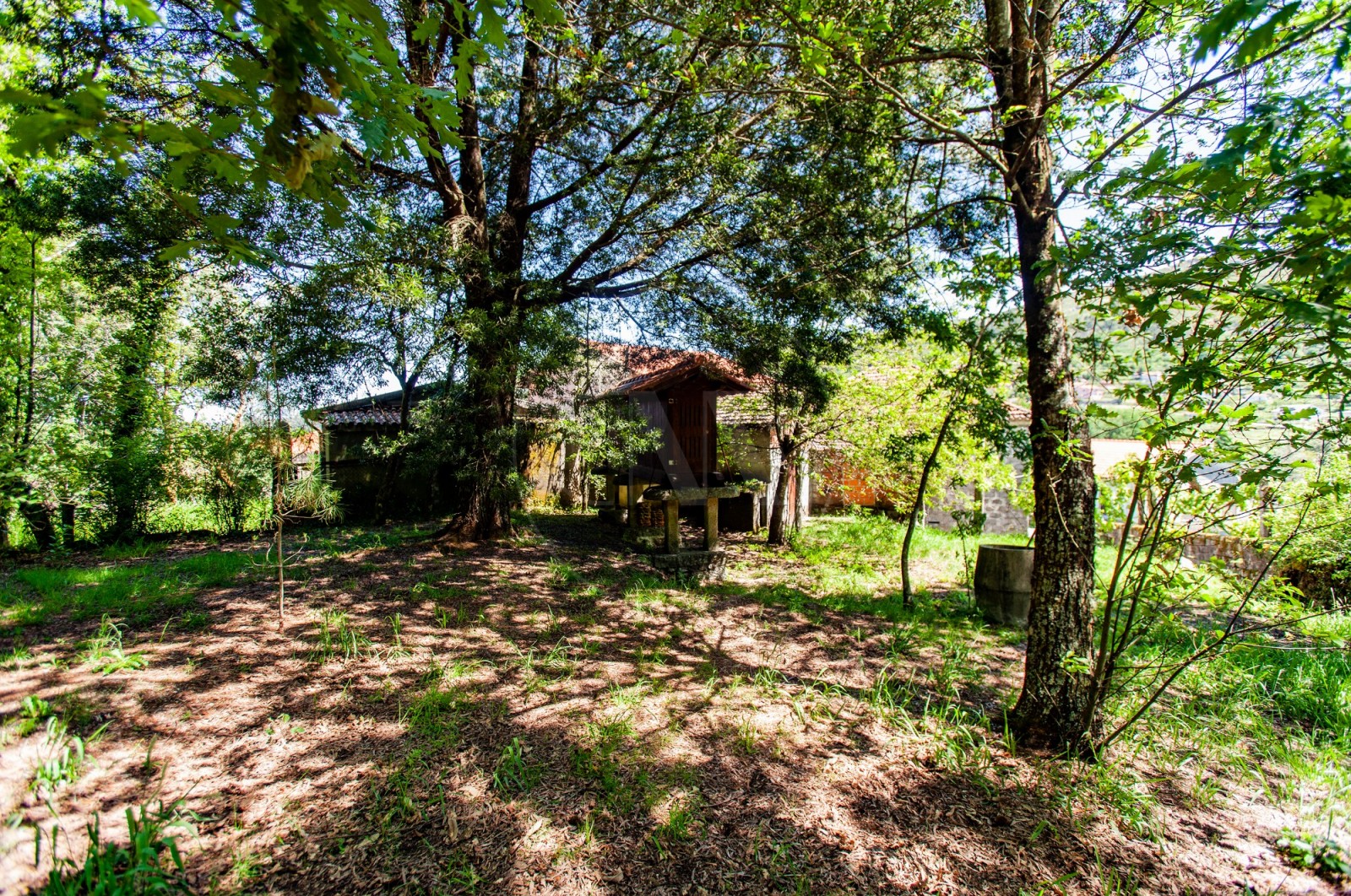 House T2 for For sale in Vade, Vila Verde, Braga - Quintal/Jardim (Imagem 3)