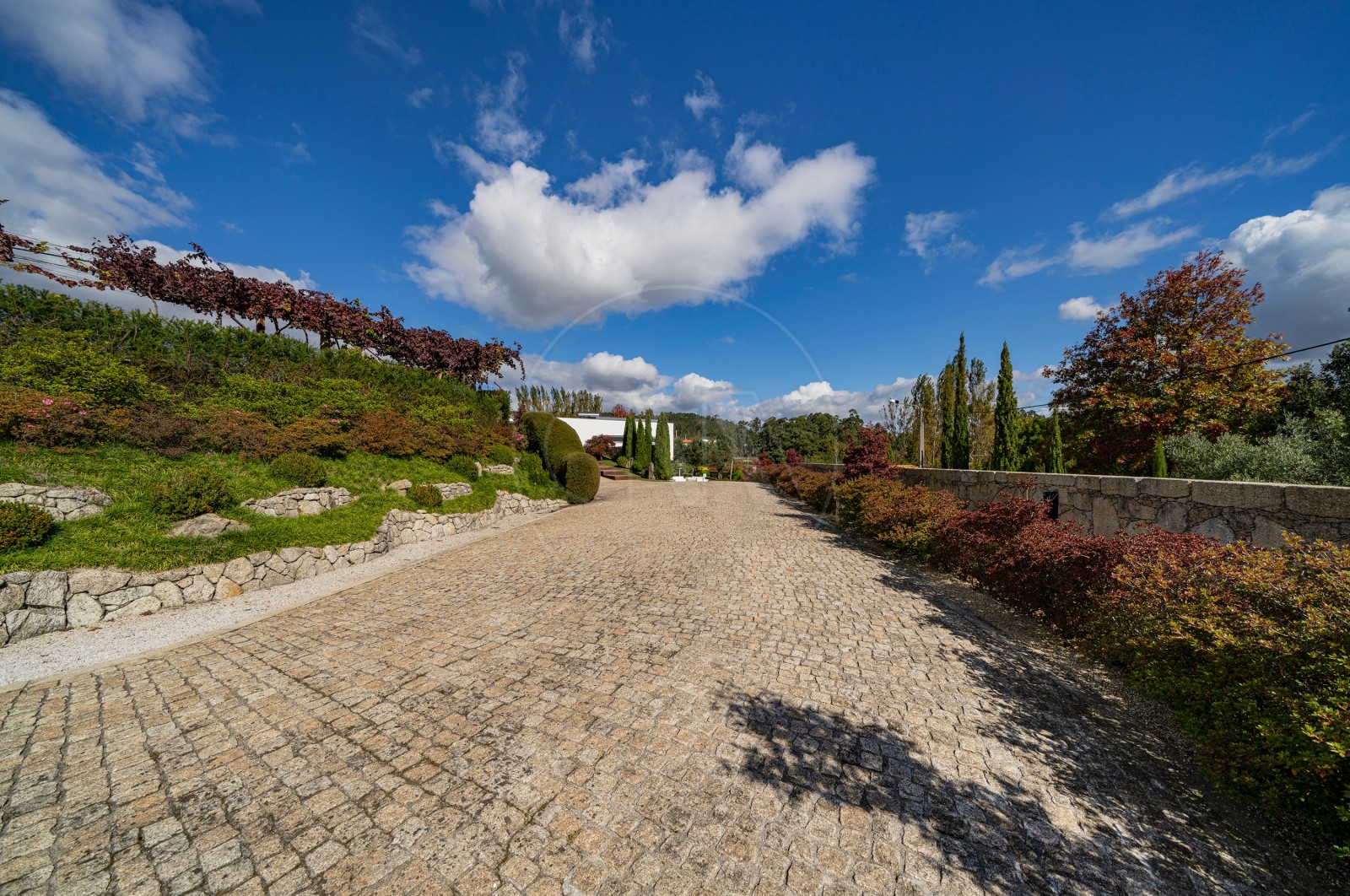 Moradia T4 para Venda em Tamel (Santa Leocádia) e Vilar do Monte, Barcelos, Braga - Área envolvente (Imagem 7)