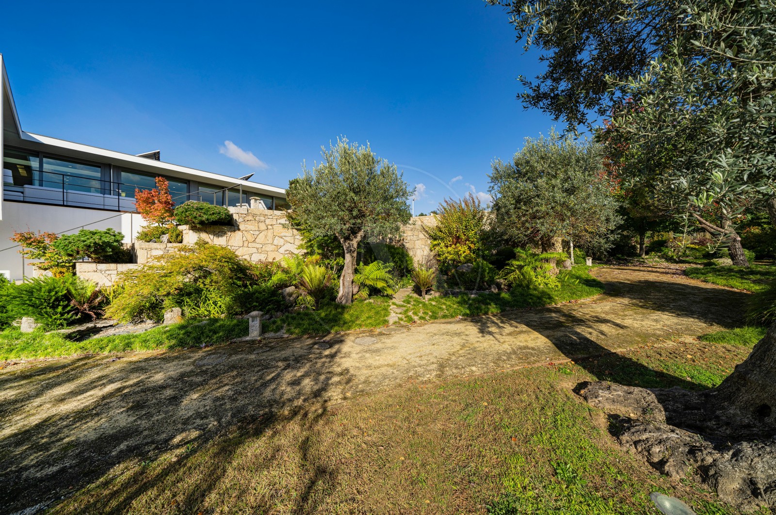 Moradia T4 para Venda em Tamel (Santa Leocádia) e Vilar do Monte, Barcelos, Braga - Quintal/Jardim (Imagem 9)