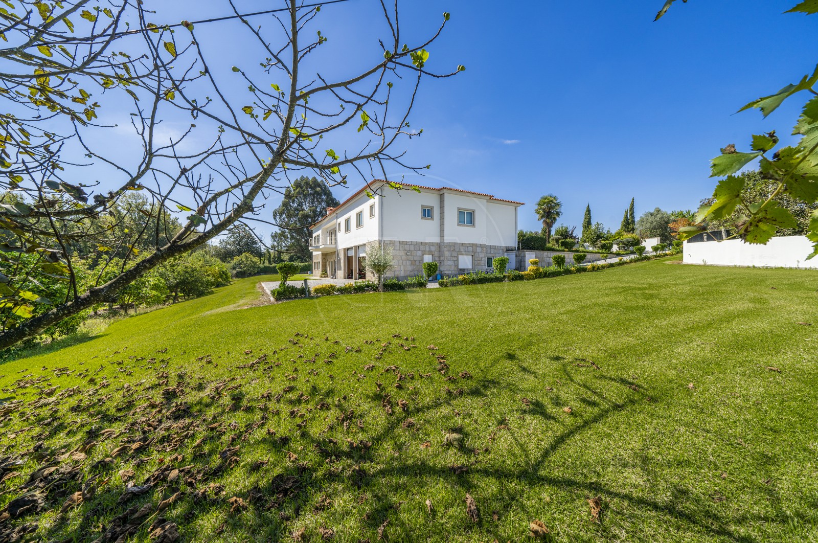 Moradia T8 para Venda em Palmeira, Braga, Braga - Quintal/Jardim (Imagem 1)