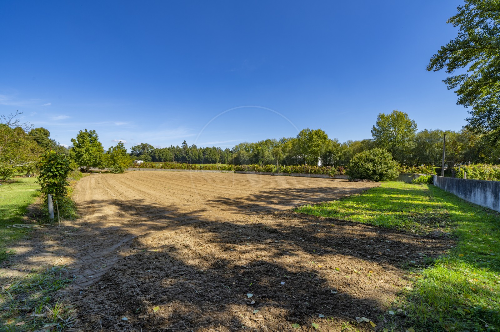 Moradia T8 para Venda em Palmeira, Braga, Braga - Quintal/Jardim (Imagem 3)