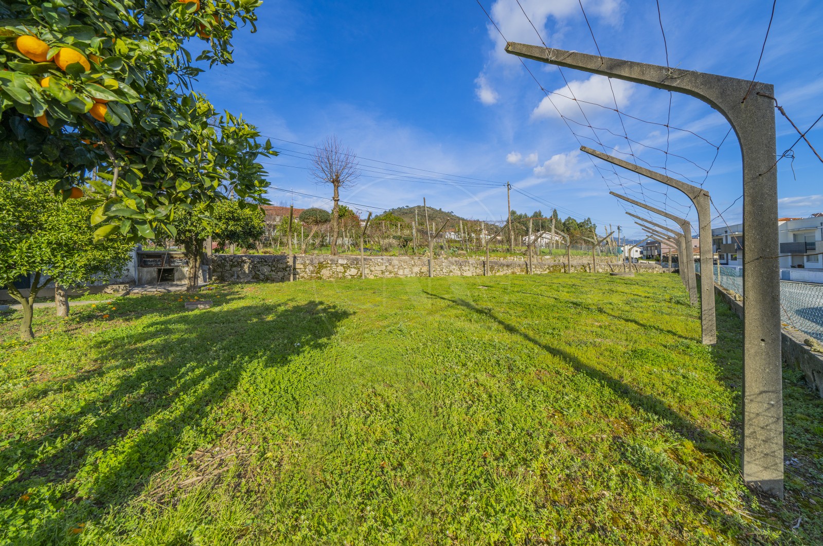 Moradia T6 para Venda em Sequeira, Braga, Braga - Terreno (Imagem 5)