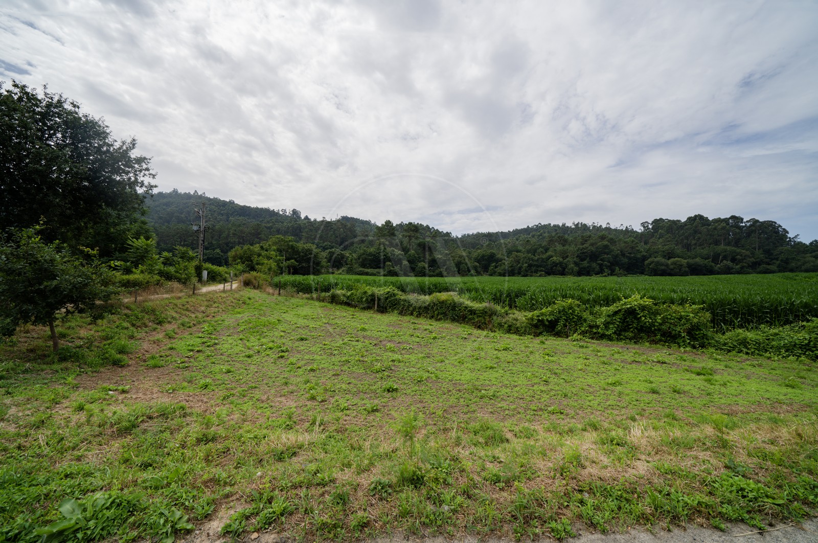 Land Rustic for For sale in Areias de Vilar e Encourados, Barcelos, Braga - Terreno (Imagem 4)