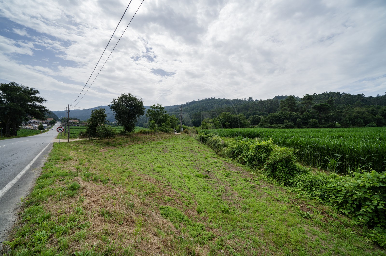 Land Rustic for For sale in Areias de Vilar e Encourados, Barcelos, Braga - Terreno (Imagem 5)