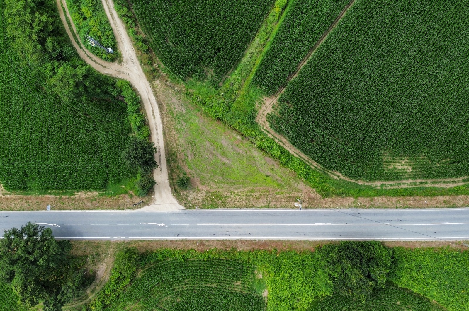 Land Rustic for For sale in Areias de Vilar e Encourados, Barcelos, Braga - Terreno (Imagem 7)