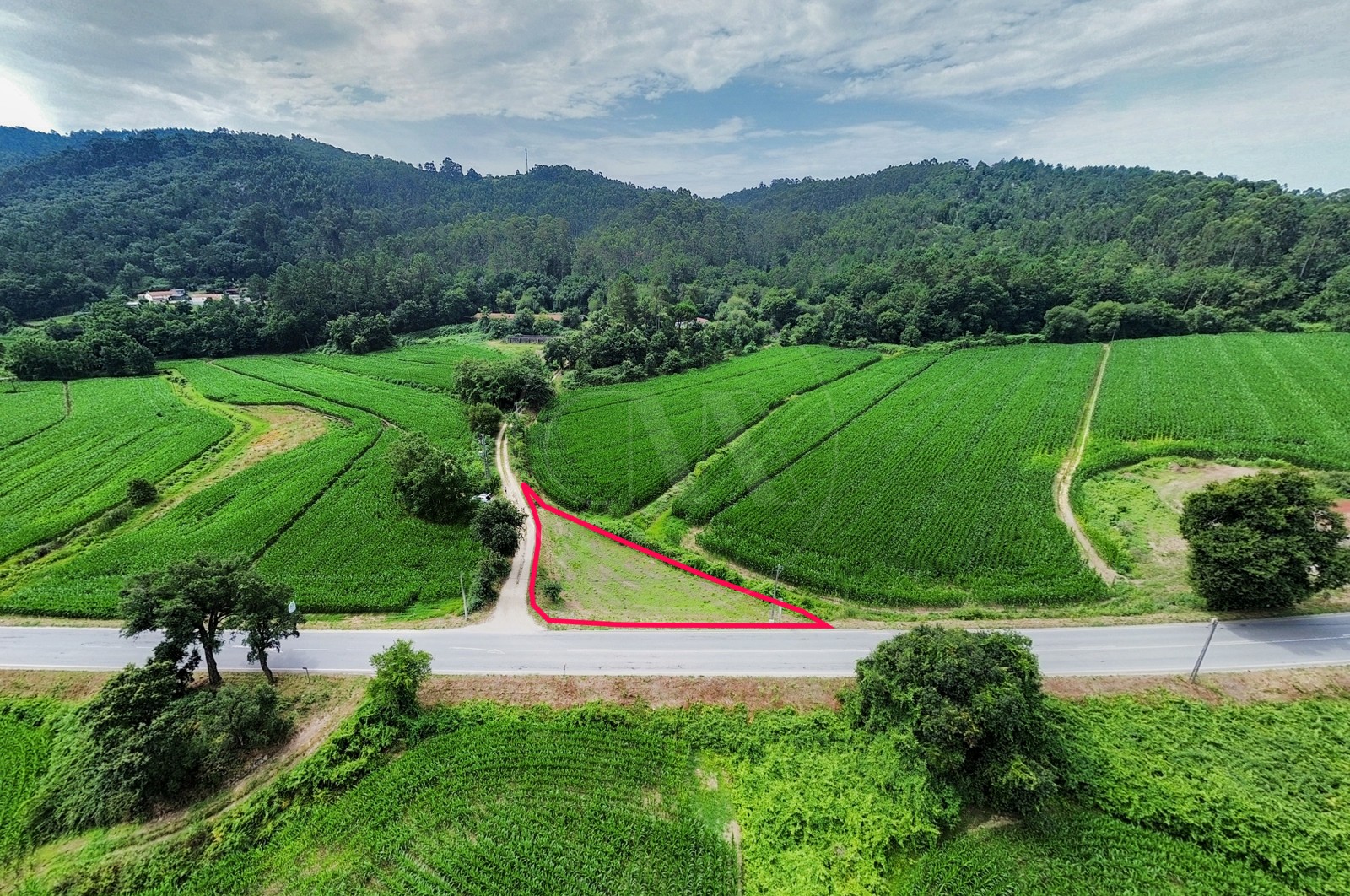 Land Rustic for For sale in Areias de Vilar e Encourados, Barcelos, Braga - Planta (Imagem 1)