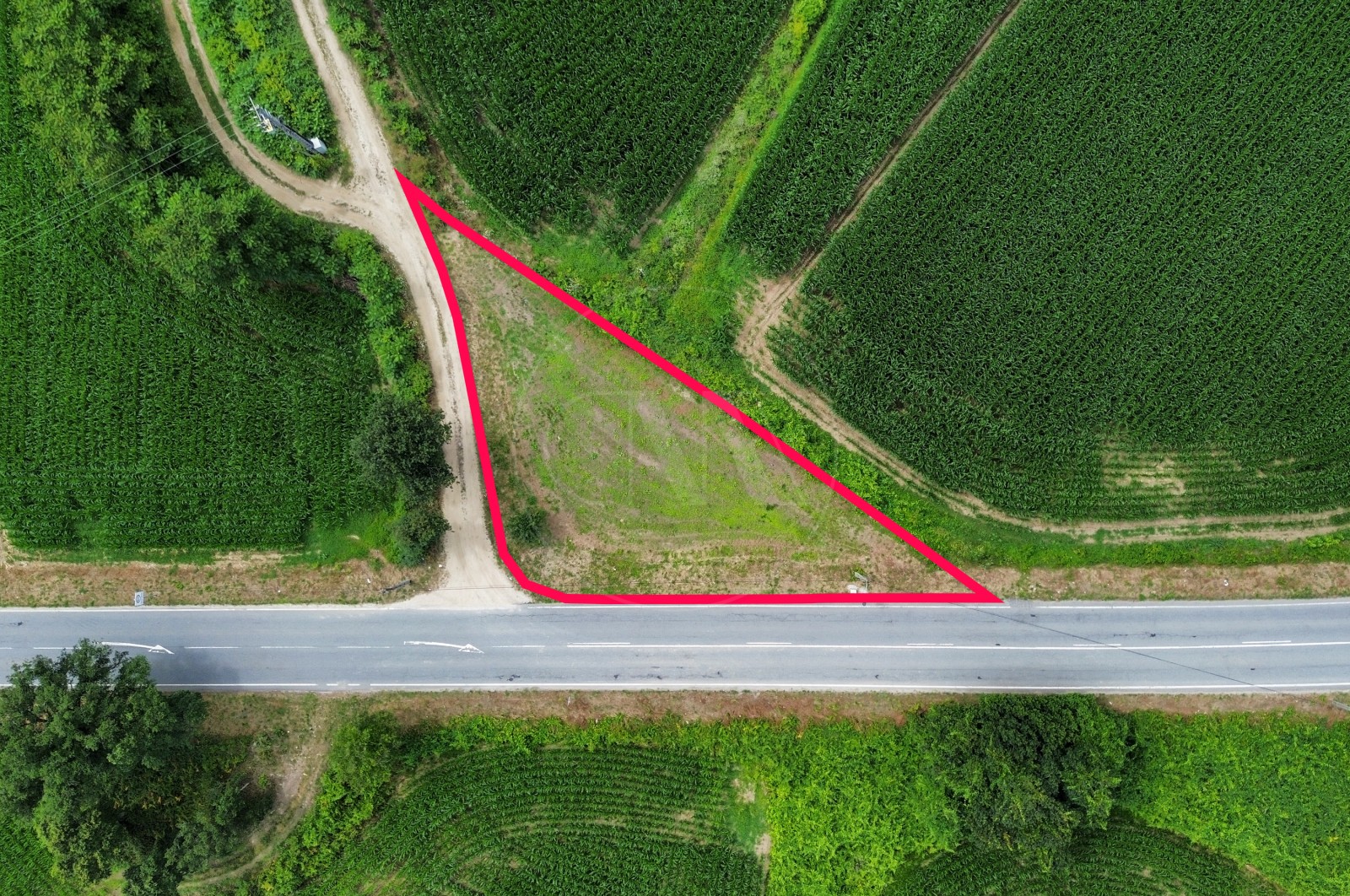 Land Rustic for For sale in Areias de Vilar e Encourados, Barcelos, Braga - Planta (Imagem 2)