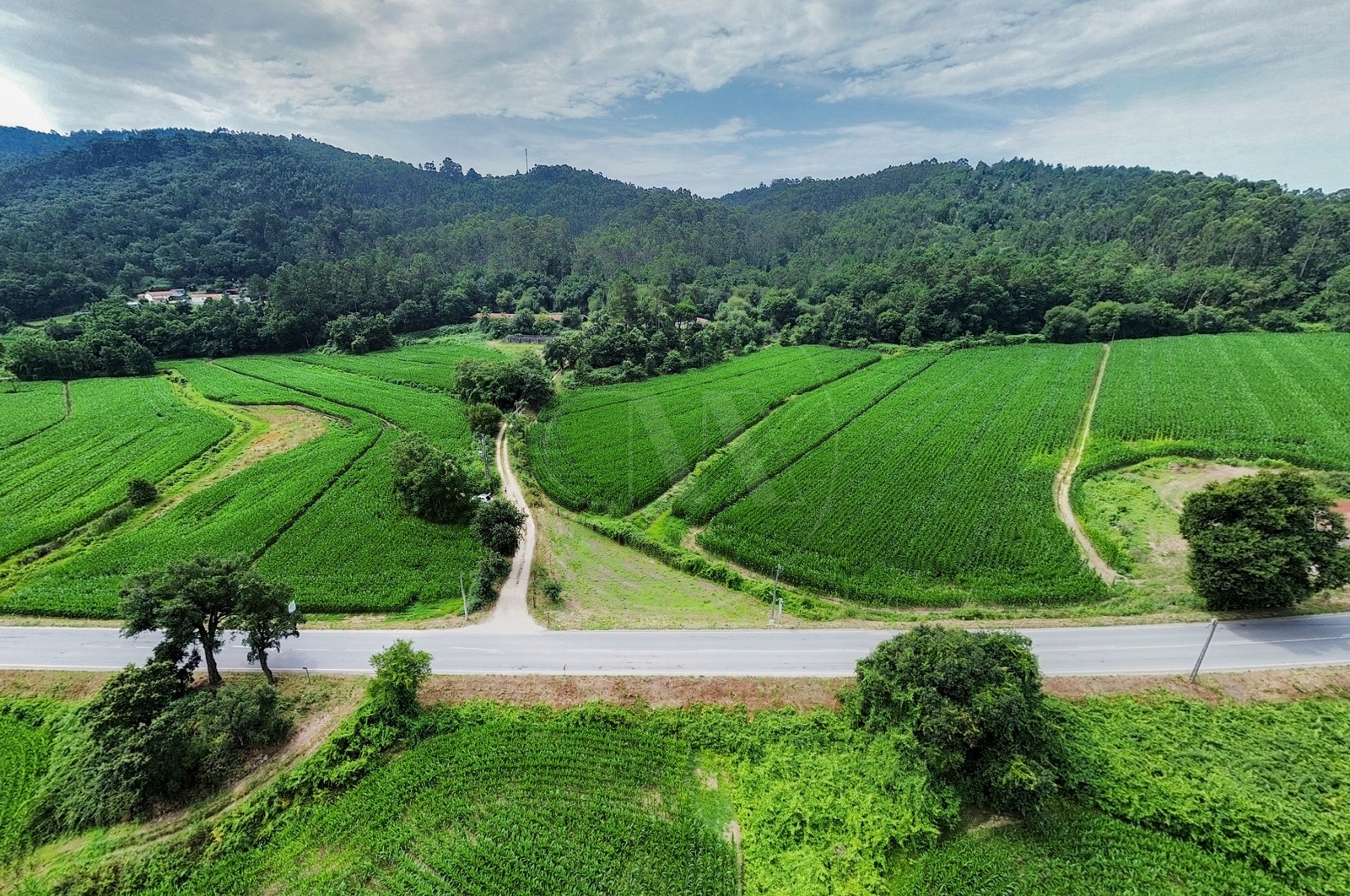 Land Rustic for For sale in Areias de Vilar e Encourados, Barcelos, Braga - Área envolvente (Imagem 5)