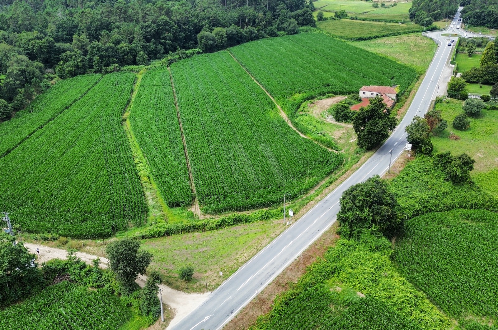 Land Rustic for For sale in Areias de Vilar e Encourados, Barcelos, Braga - Área envolvente (Imagem 1)