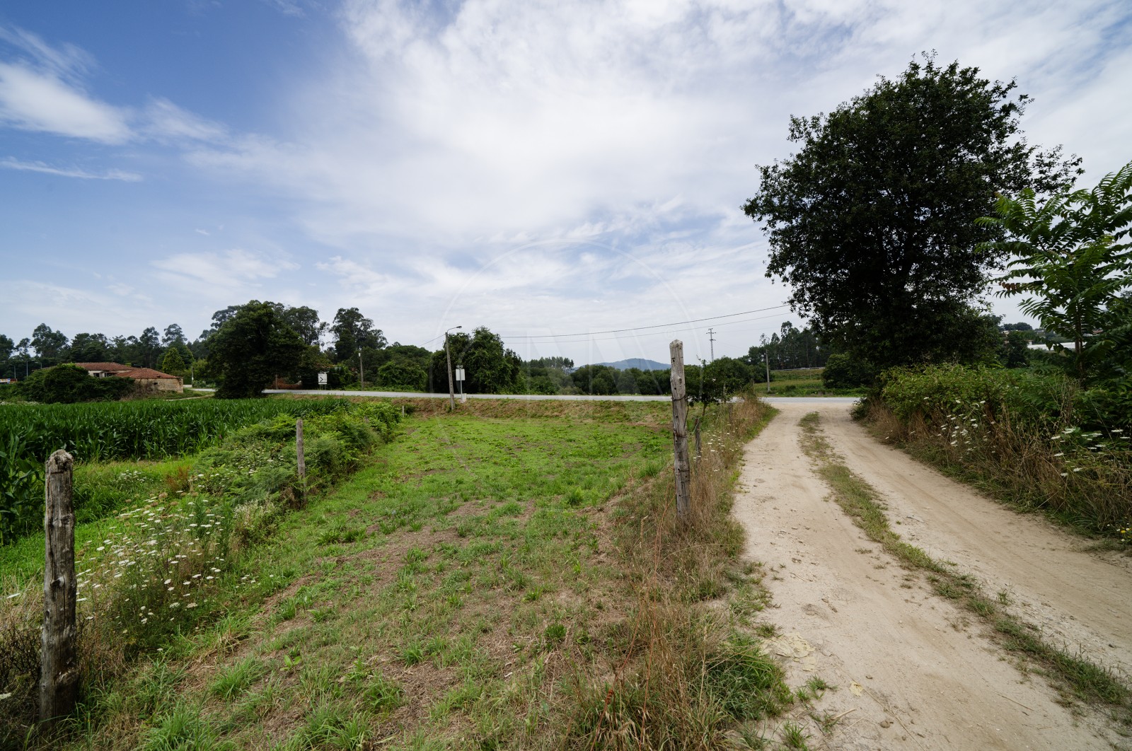 Land Rustic for For sale in Areias de Vilar e Encourados, Barcelos, Braga - Terreno (Imagem 1)