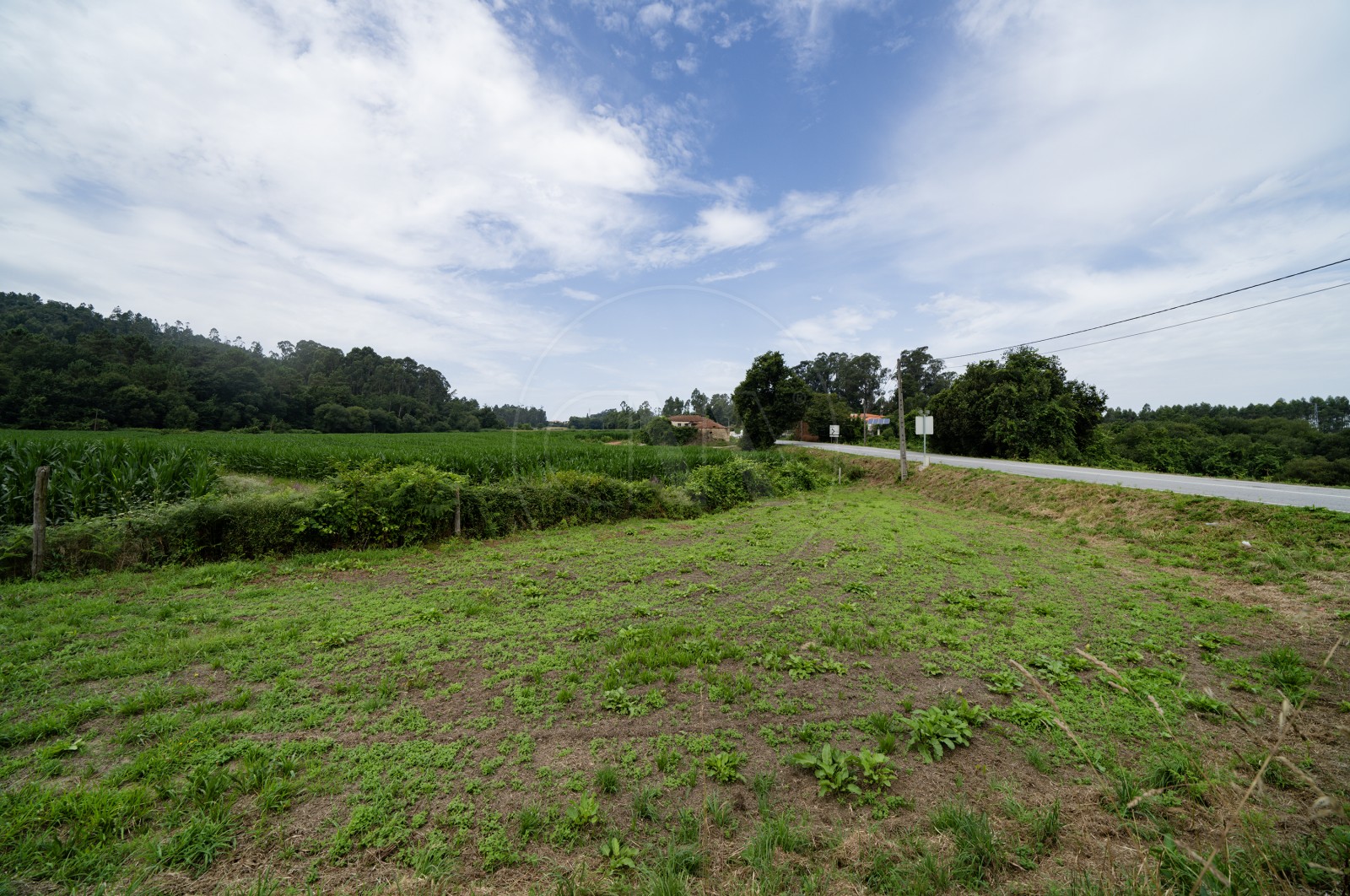 Land Rustic for For sale in Areias de Vilar e Encourados, Barcelos, Braga - Terreno (Imagem 2)