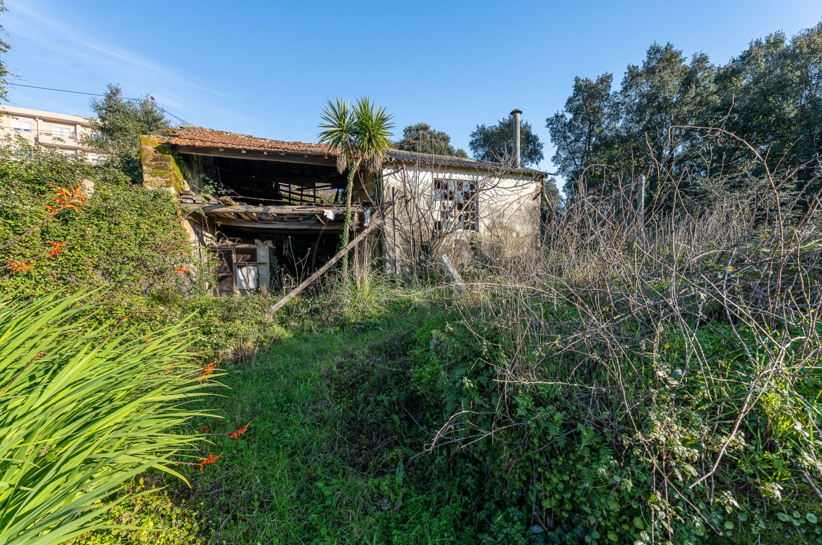Quinta T3 para Venda em Fânzeres e São Pedro da Cova, Gondomar, Porto - Terreno (Imagem 3)