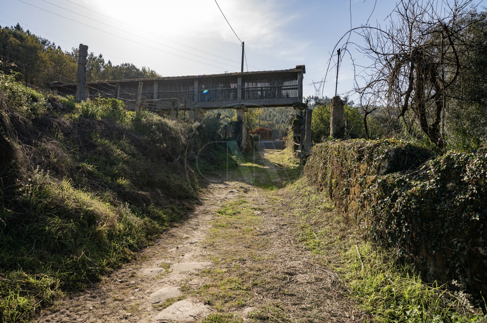 Farm T8 for For sale in Covelas, Póvoa de Lanhoso, Braga - Terreno (Imagem 1)