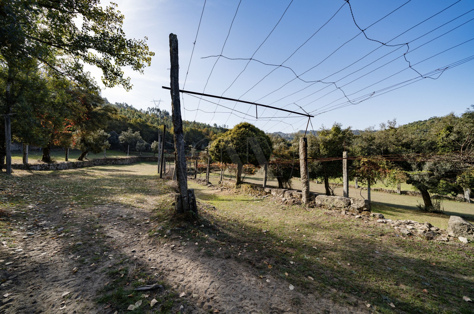 Farm T8 for For sale in Covelas, Póvoa de Lanhoso, Braga - Terreno (Imagem 5)