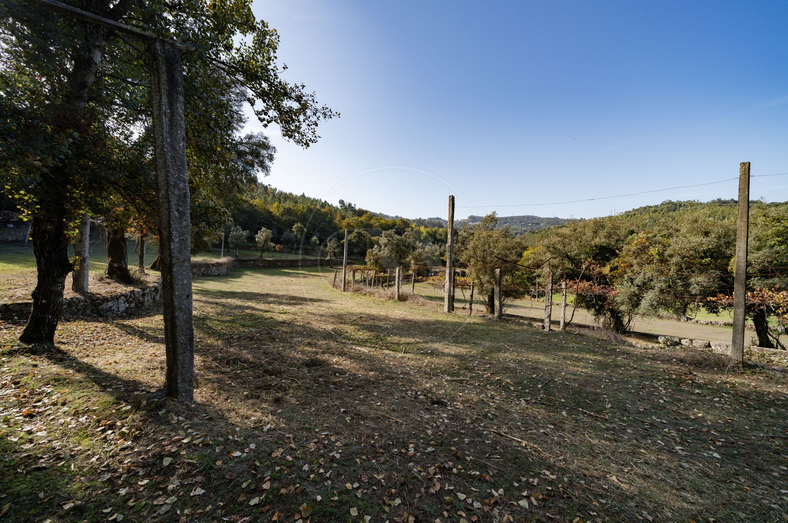 Farm T8 for For sale in Covelas, Póvoa de Lanhoso, Braga - Terreno (Imagem 6)