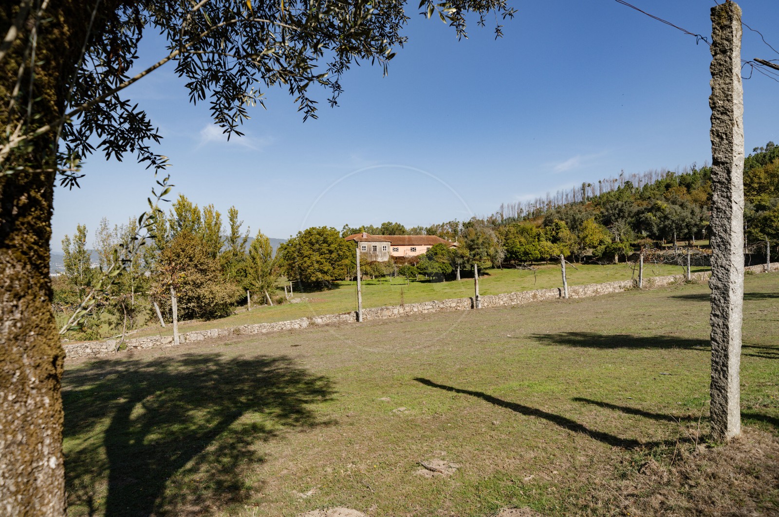 Farm T8 for For sale in Covelas, Póvoa de Lanhoso, Braga - Terreno (Imagem 7)