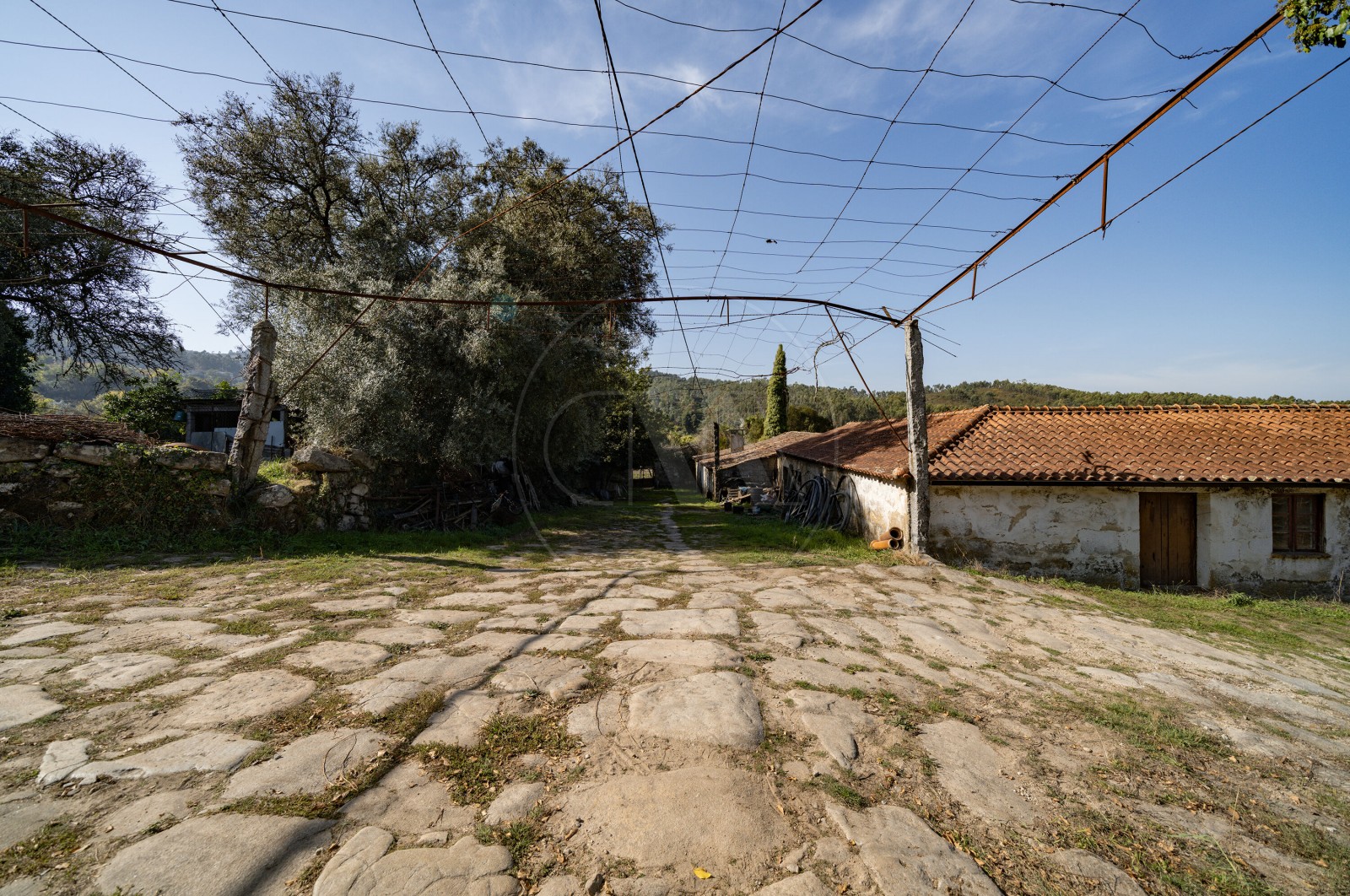 Farm T8 for For sale in Covelas, Póvoa de Lanhoso, Braga - Terreno (Imagem 8)
