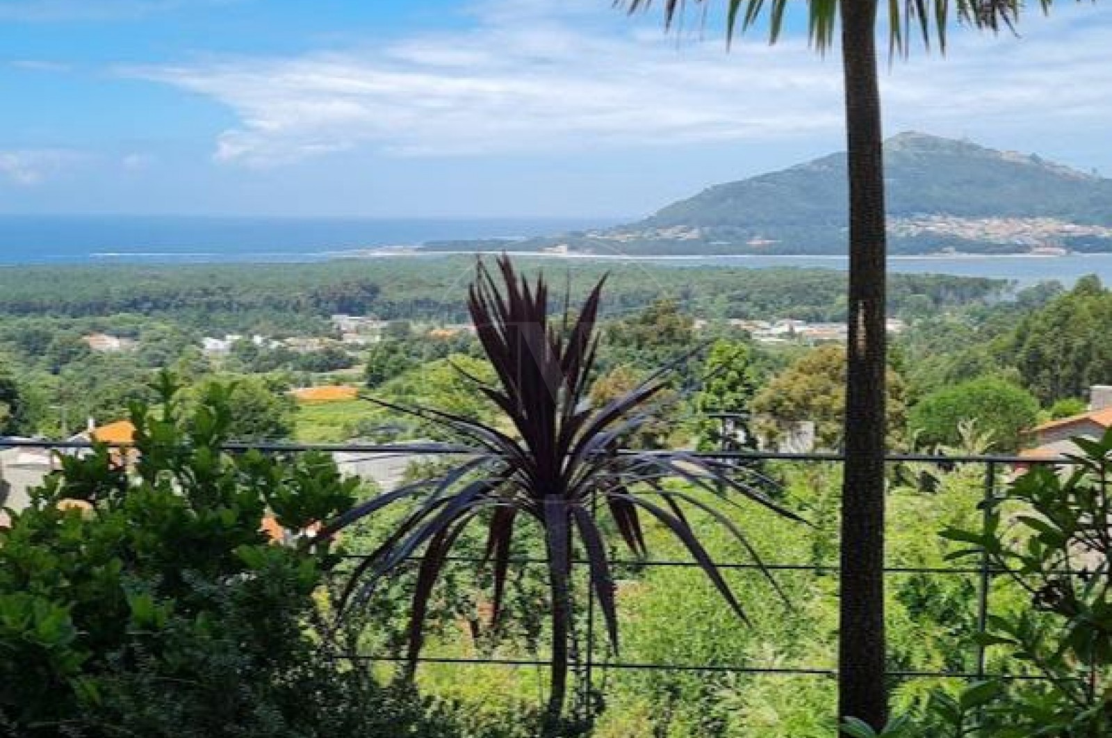 Moradia T4 para Venda em Moledo e Cristelo, Caminha, Viana do Castelo - Quintal/Jardim (Imagem 3)