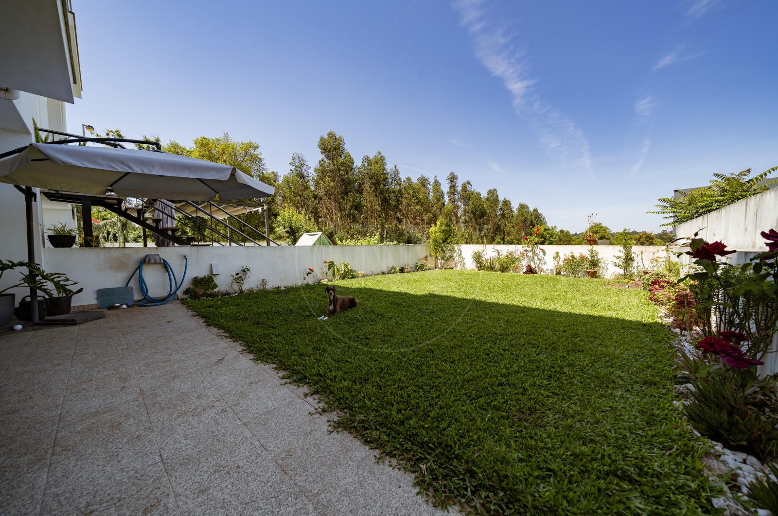 Moradia T3 para Venda em Lomar e Arcos, Braga, Braga - Quintal/Jardim (Imagem 1)