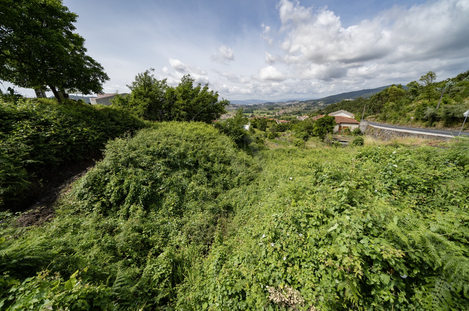 Land Urban for For sale in Escudeiros e Penso (Santo Estêvão e São Vicente), Braga, Braga - Terreno (Imagem 3)