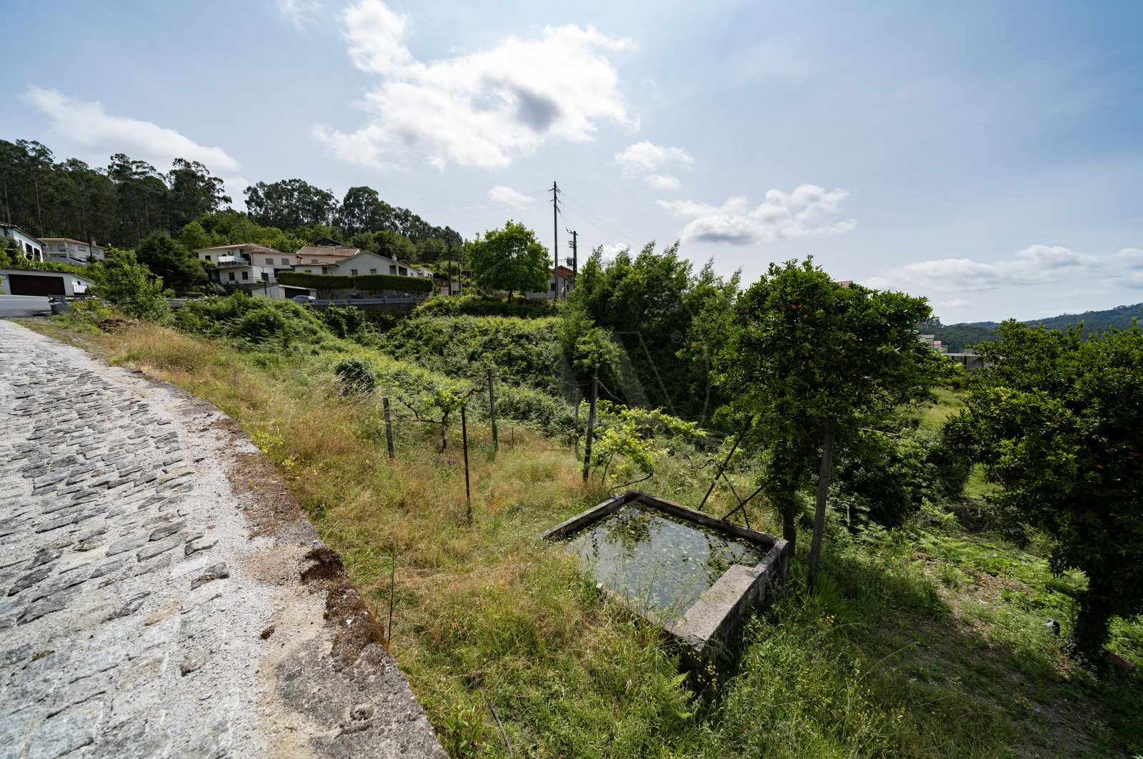 Land Urban for For sale in Escudeiros e Penso (Santo Estêvão e São Vicente), Braga, Braga - Terreno (Imagem 6)