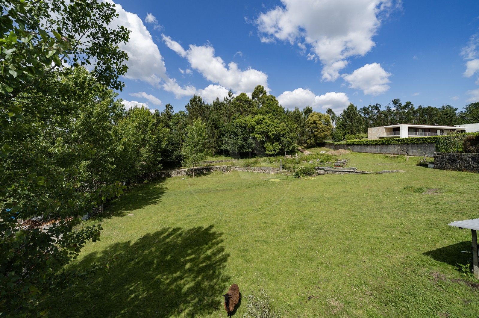 Moradia T3 para Venda em Priscos, Braga, Braga - Quintal/Jardim (Imagem 1)