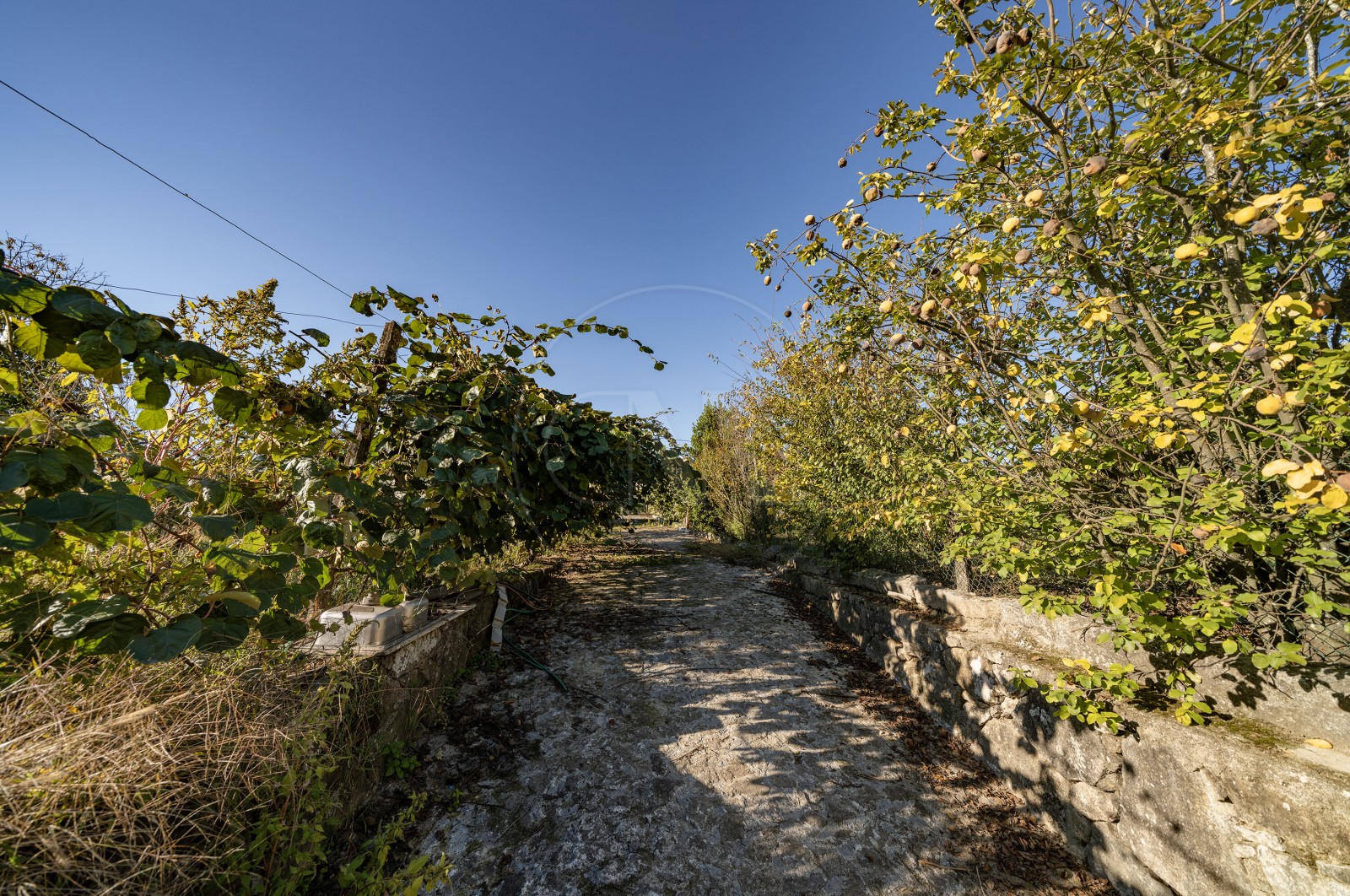 Land Rustic for For sale in Torre e Portela, Amares, Braga - Terreno (Imagem 13)