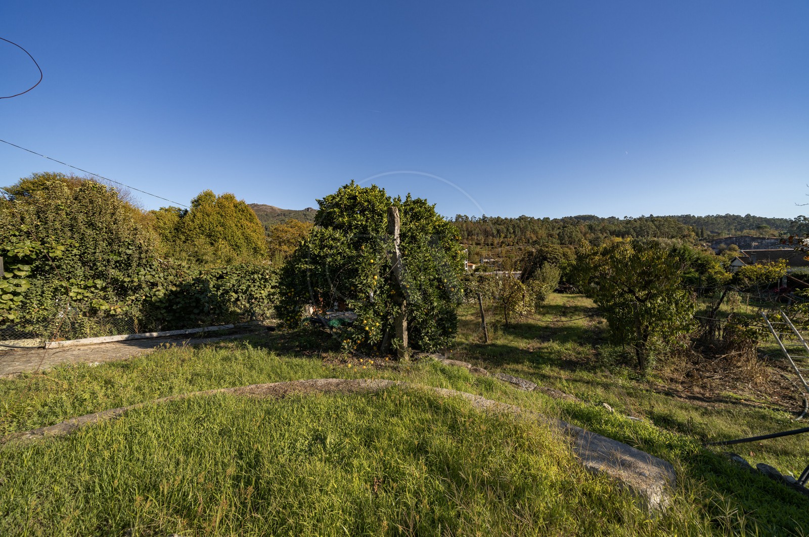 Land Rustic for For sale in Torre e Portela, Amares, Braga - Terreno (Imagem 4)