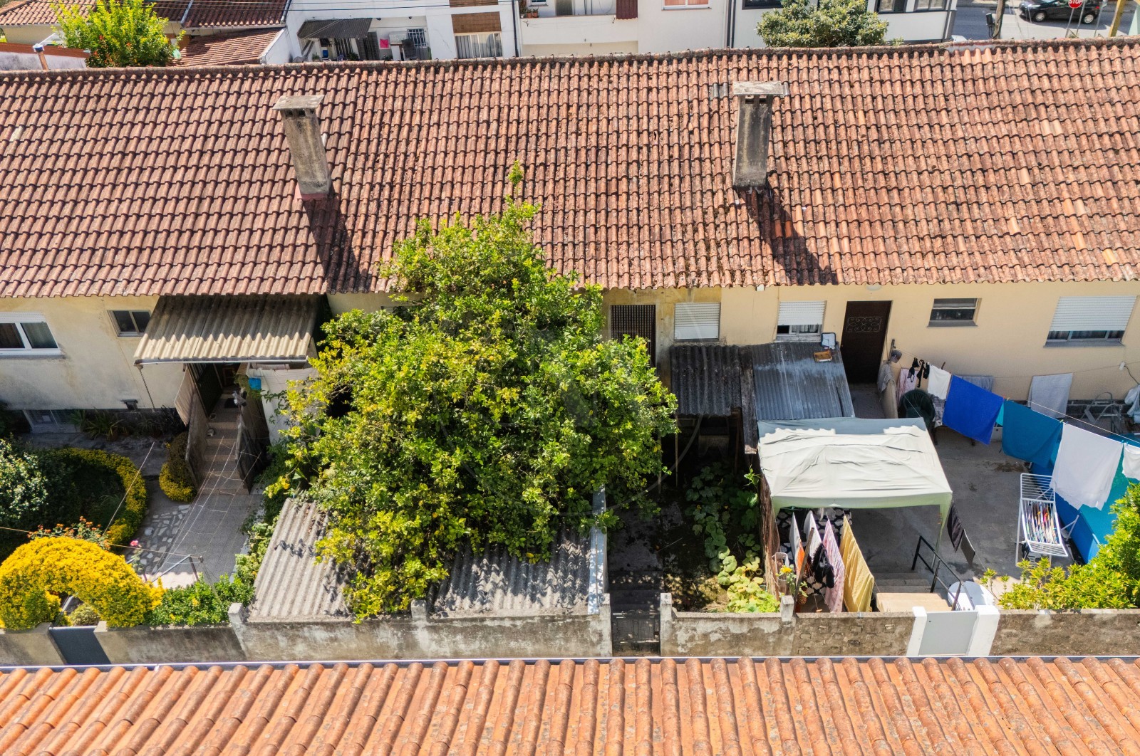 Moradia T8 para Venda em Real, Dume e Semelhe, Braga, Braga - Área envolvente (Imagem 12)