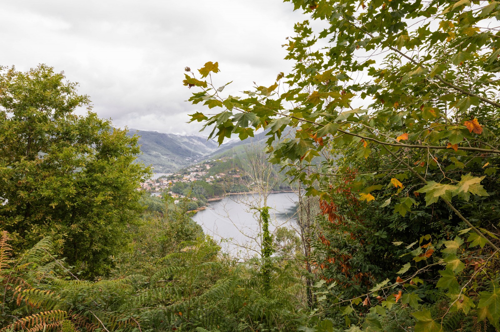Moradia T4 para Venda em Ventosa e Cova, Vieira do Minho, Braga - Áreas comuns (Imagem 9)