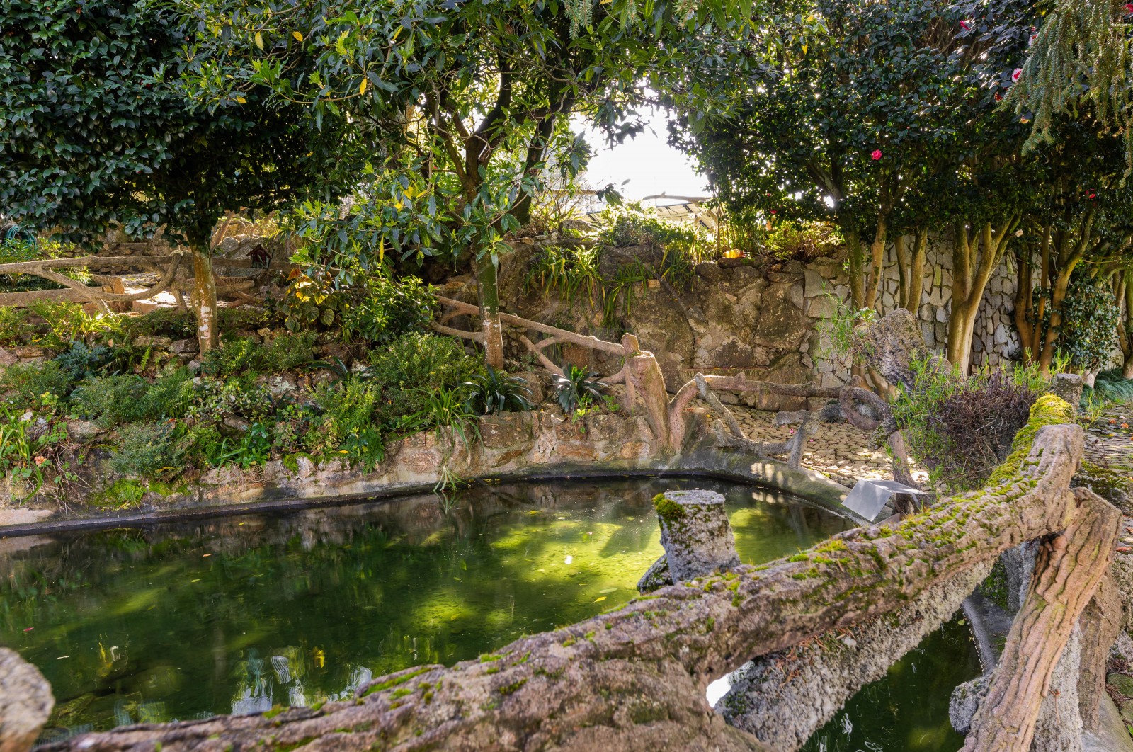 Moradia T5 para Venda em Nogueiró e Tenões, Braga, Braga - Área envolvente (Imagem 20)