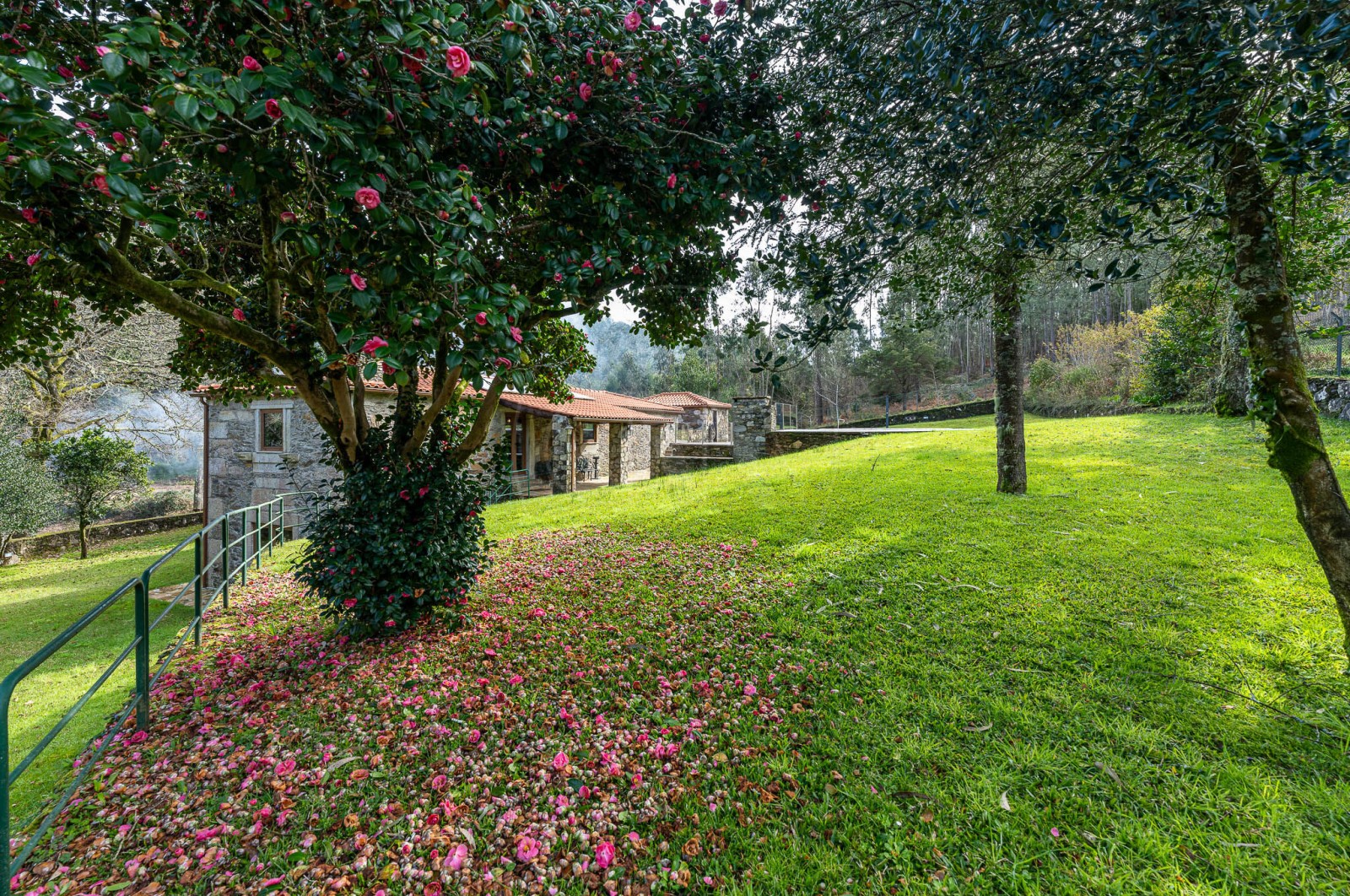 House T4 for For sale in Gondar e Orbacém, Caminha, Viana do Castelo - Quintal/Jardim (Imagem 3)