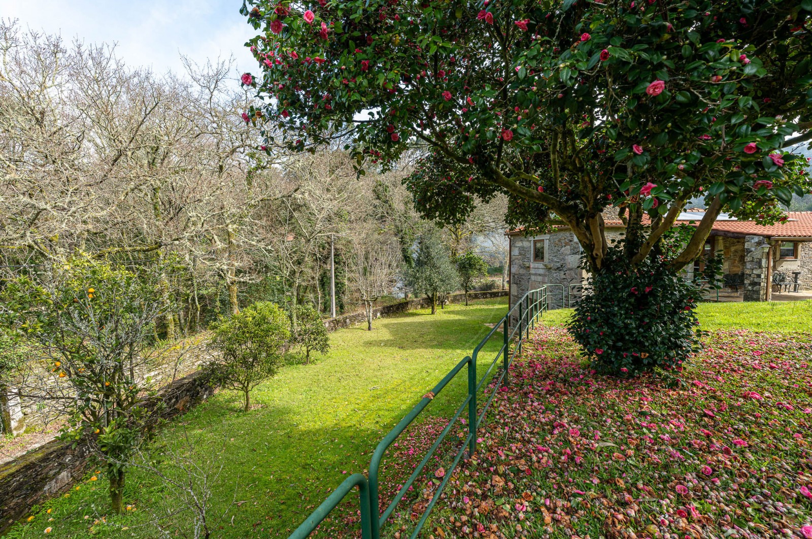 House T4 for For sale in Gondar e Orbacém, Caminha, Viana do Castelo - Quintal/Jardim (Imagem 4)