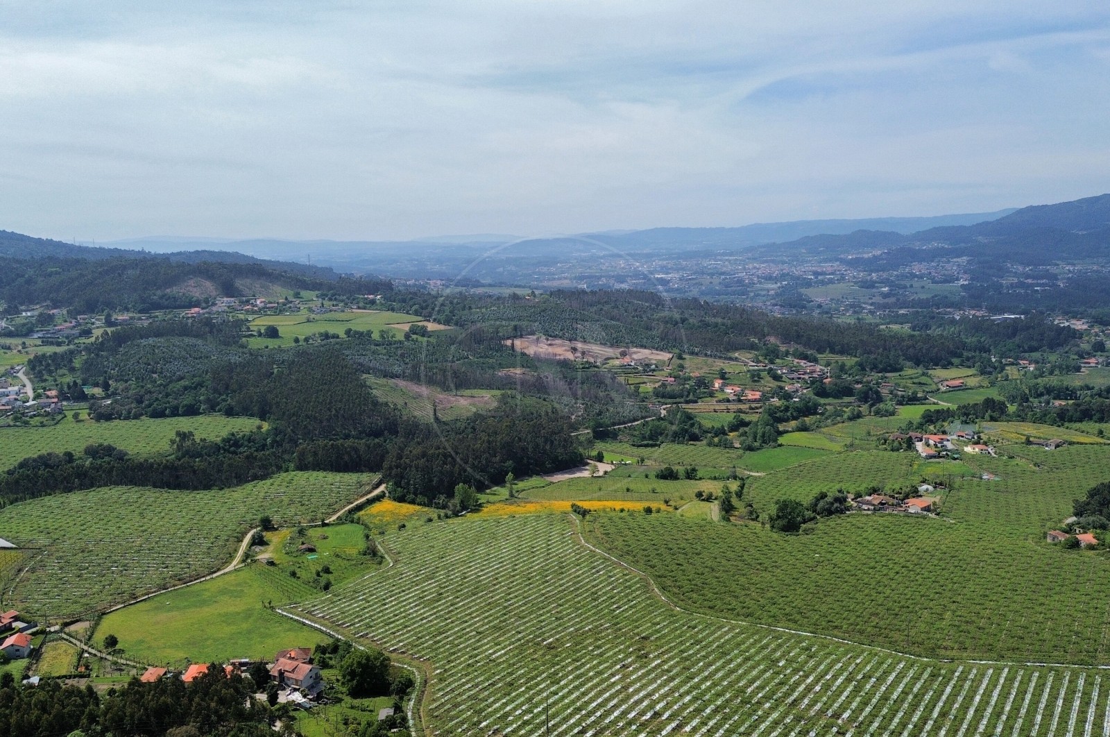 Moradia T4 para Venda em Geraz do Minho, Póvoa de Lanhoso, Braga - Vistas (Imagem 3)