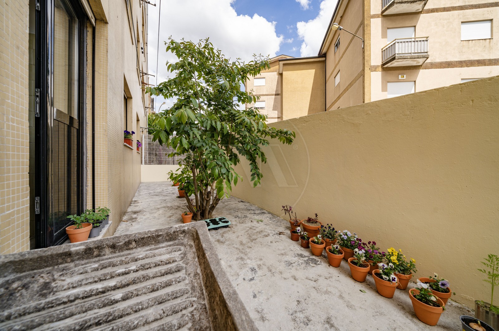 Apartamento T2 para Venda em Ferreiros e Gondizalves, Braga, Braga - Terraço (Imagem 1)