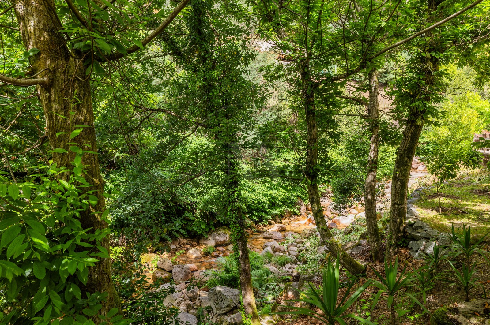 Apartamento T3 para Venda em Vilar da Veiga, Terras de Bouro, Braga - Área envolvente (Imagem 38)