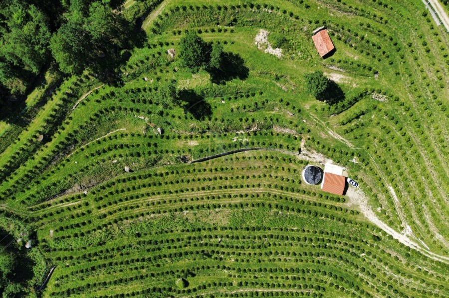 Área envolvente (Imagem 6)
