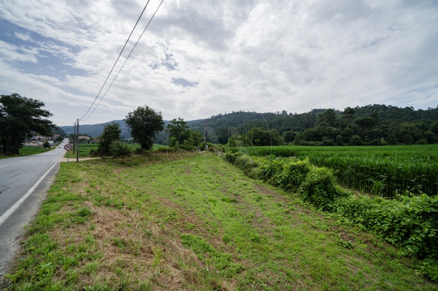 Terreno (Imagem 5)