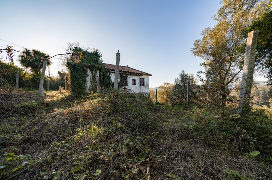 Fachada (Imagem 5)