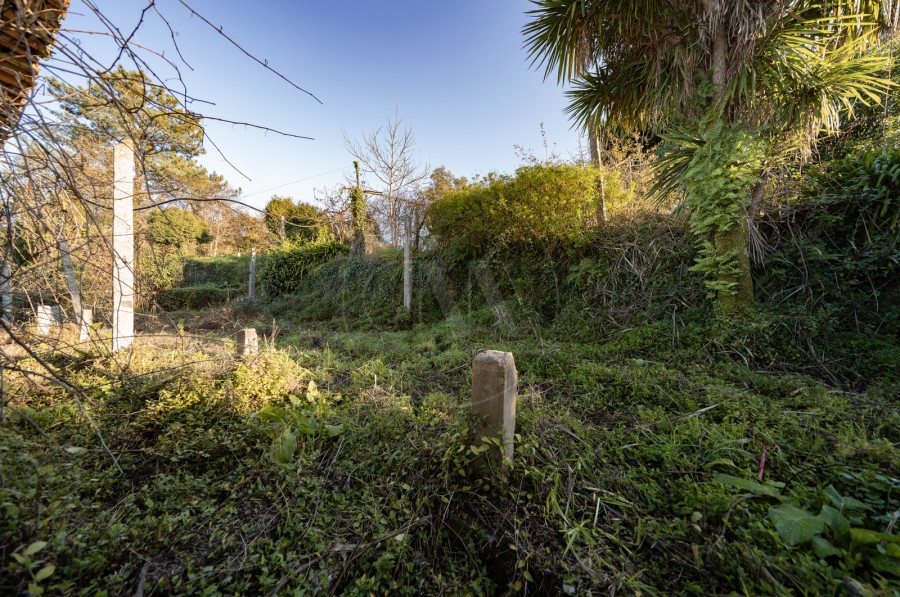 Terreno (Imagem 1)