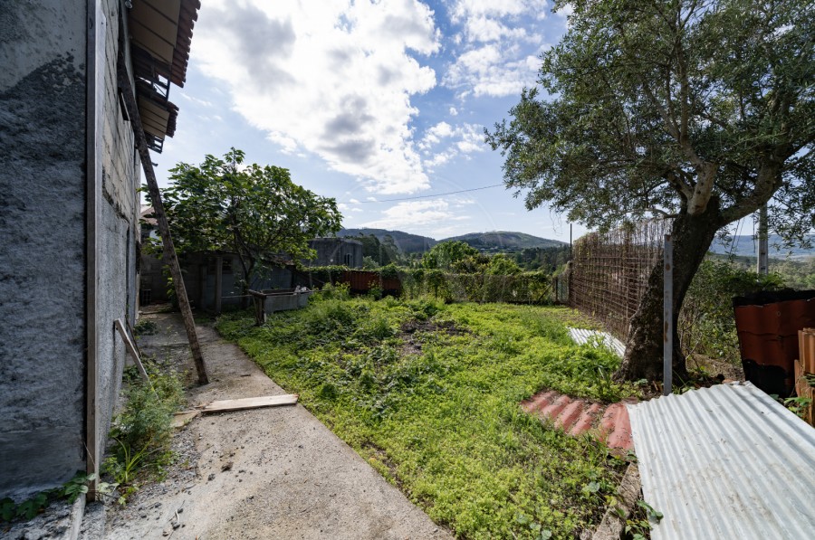 Quintal/Jardim (Imagem 1)
