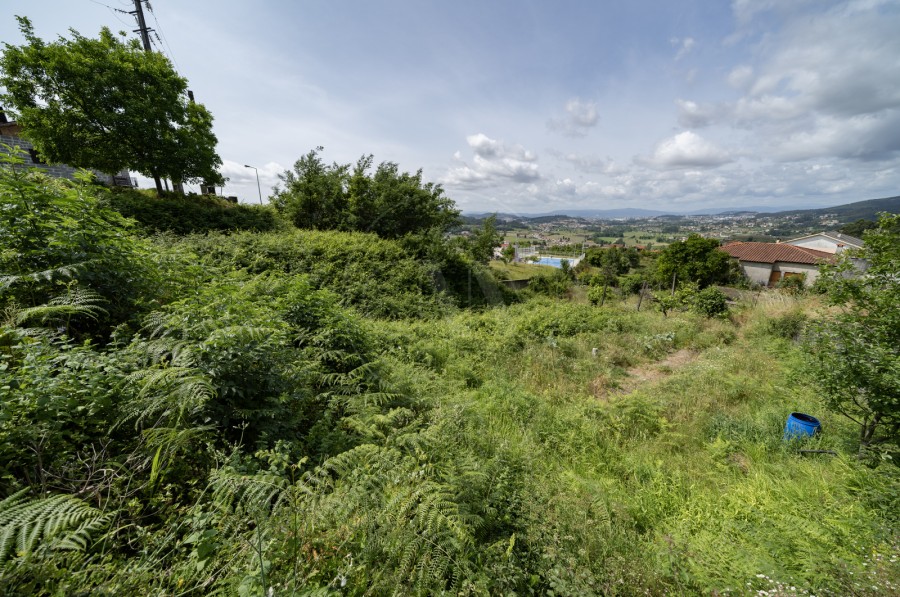 Terreno (Imagem 3)