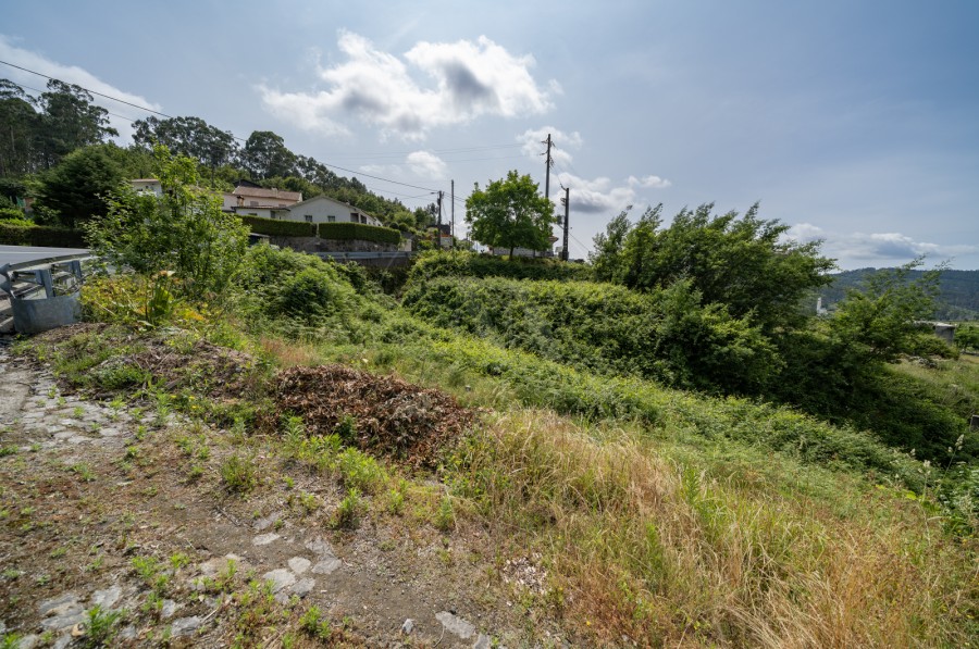 Terreno (Imagem 7)