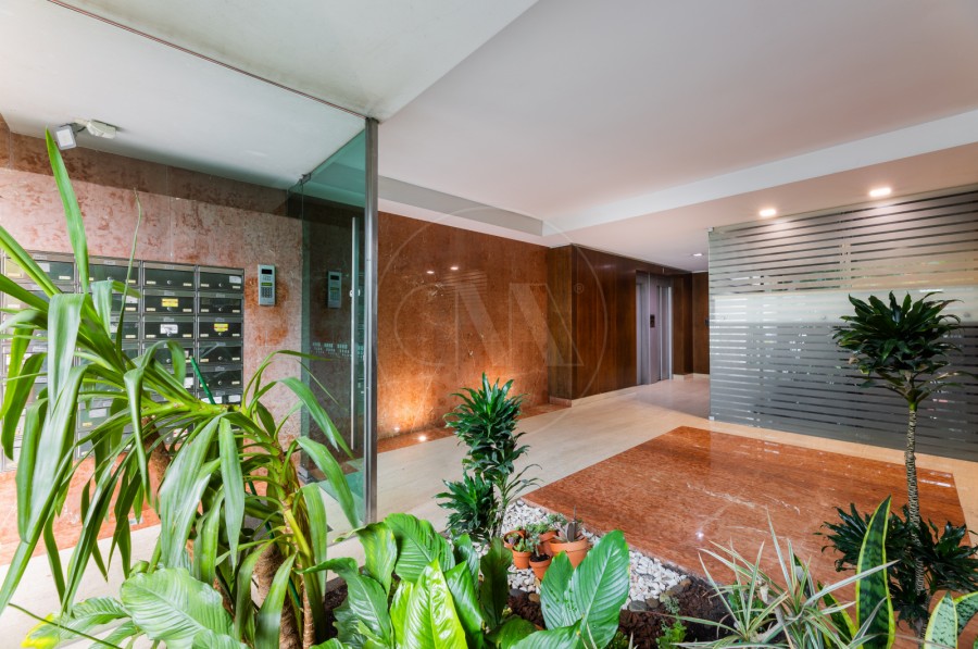 Área envolvente (Imagem 11)